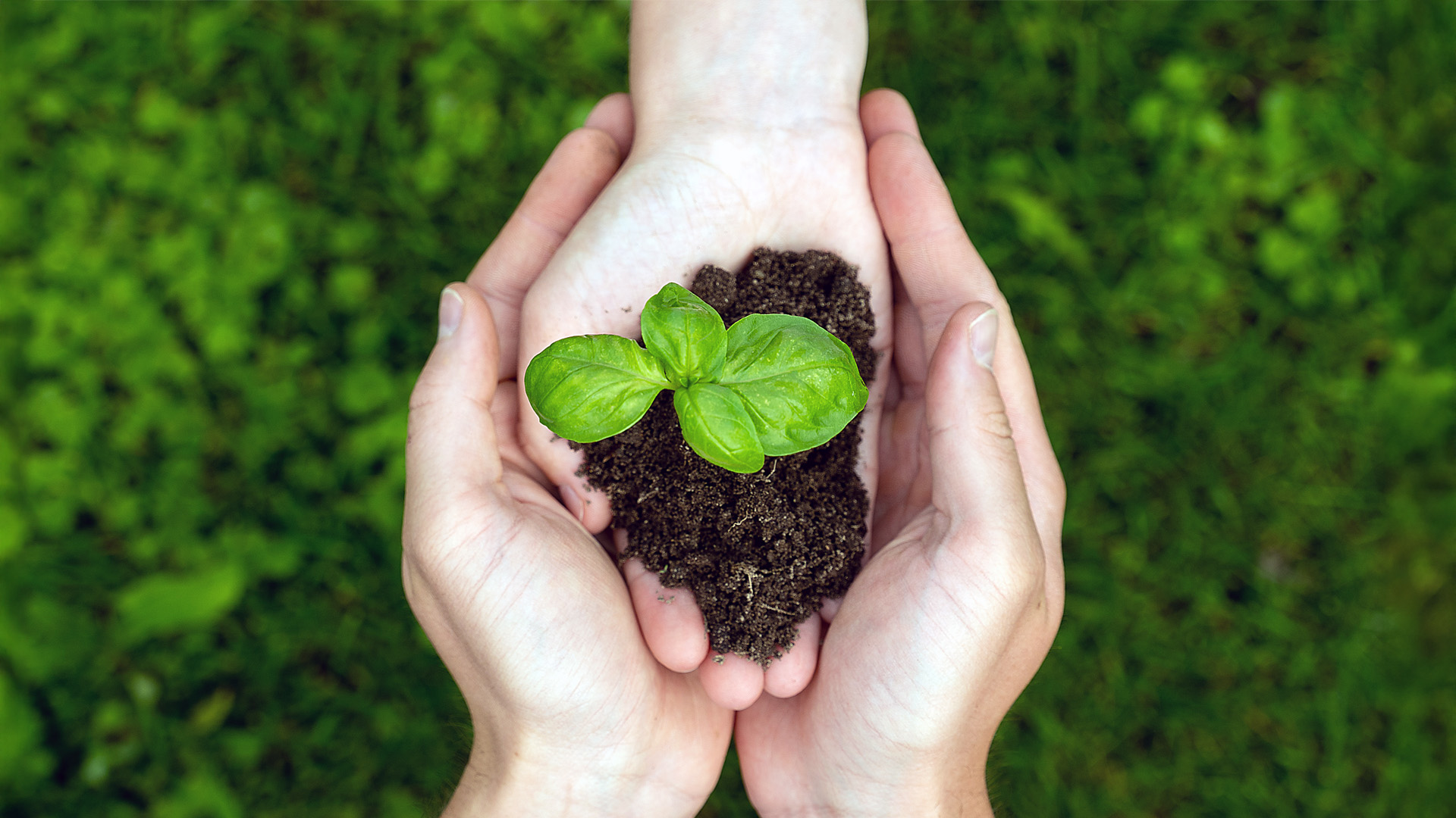 Founders Capital Management 3